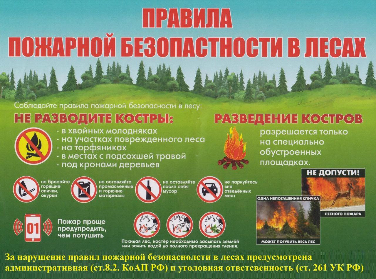 Правила пожарной безопасности в лесах.