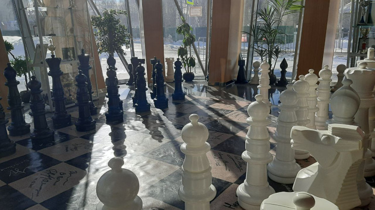 Районный шахматный турнир.